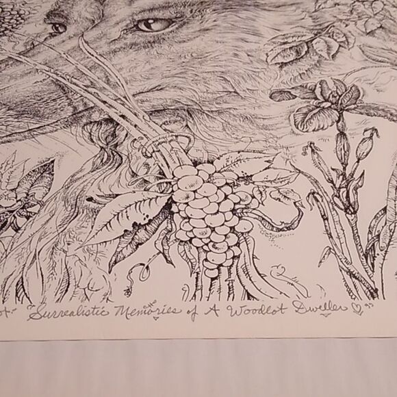 Paul Anthony Lee Surrealistic Memories 1975 Black and White Fox Art Print - Picture 3 of 7